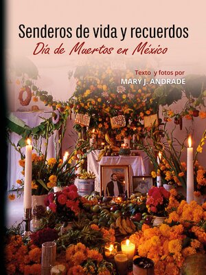 Senderos de vida y recuerdos - ebook